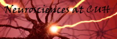 Neuroscience banner